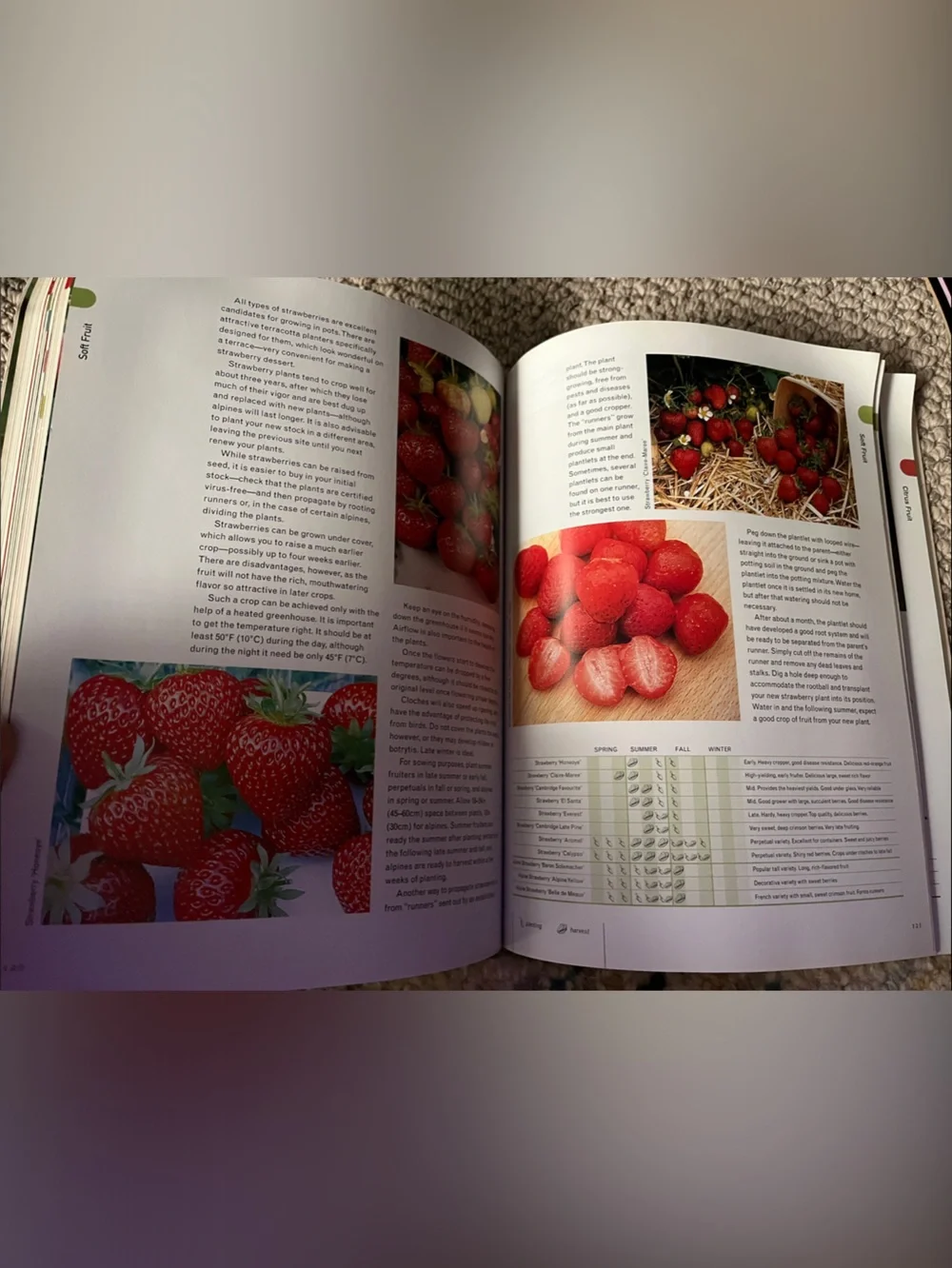 Small Plot Big Harvest & Kitchen Garden, Gardening Guide Books
